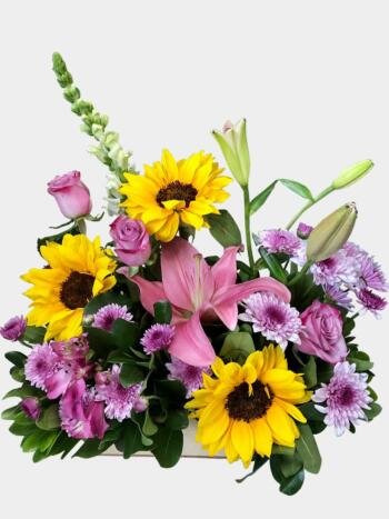 Coqueta - Florería Miranda