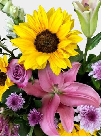 Coqueta - Florería Miranda