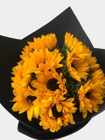 Mi Sol - Florería Miranda