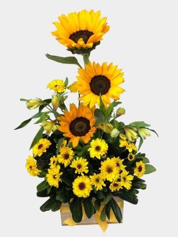 Verano - Florería Miranda