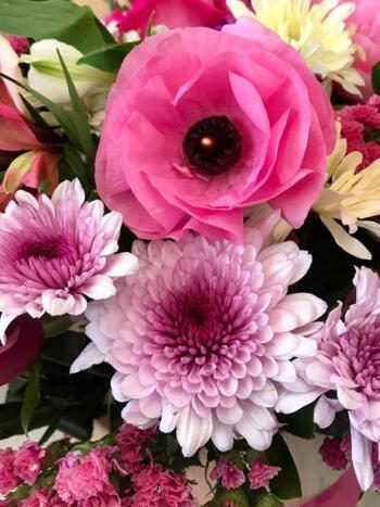 Pink Lady - Florería Miranda