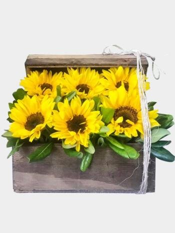 Tesoro - Florería Miranda