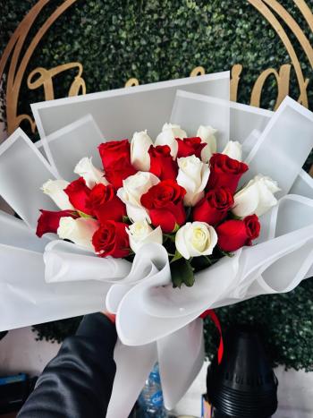 24 Rosas