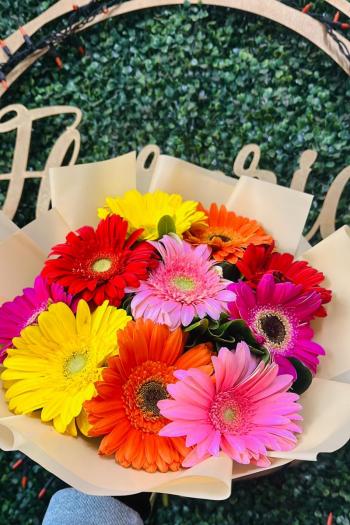 Gerberas